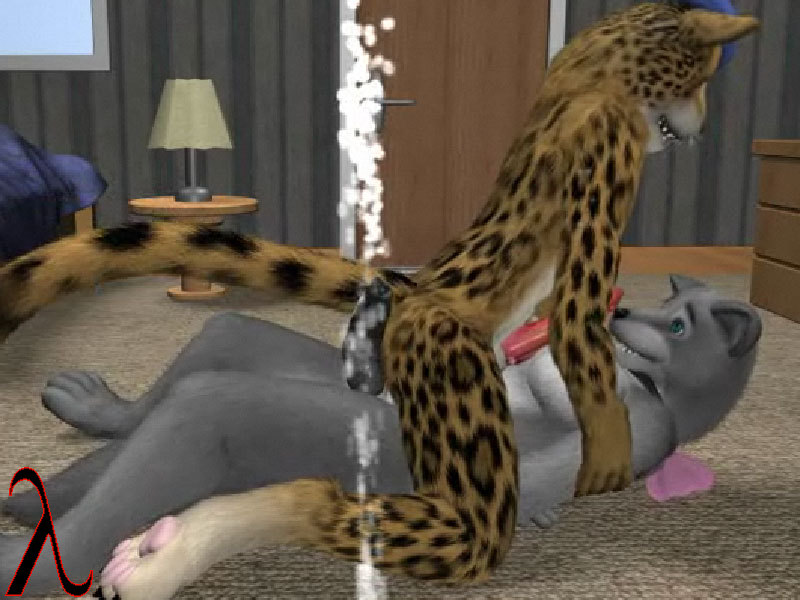 Animation Furry Game Porno